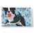 Playful Boston Terrier Sherpa Blanket